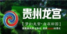 美女鸡巴插逼视频,